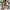 Belted Trench Coat with Tie Waist and Voluminous Sleeves