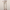 George | Tailored Fit Casual Trousers with Comfortable Fit