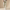 Harry | Linen Blend Trousers with Tailored Fit and Elastic Waist