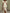 Janet | Deep V Neck Floral Wrap Wedding Guest Dress