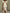 Janet | Deep V Neck Floral Wrap Wedding Guest Dress