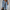 Linda | Denim Jacket with Chest Pockets and Frayed Hem