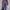 Linda | Denim Jacket with Chest Pockets and Frayed Hem