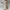 Longline Double-Breasted Trench Coat 
