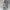 Longline Double-Breasted Trench Coat with Flap Pockets