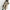 Longline Hooded Trench Coat with Adjustable Drawstring Waist