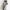 Longline Hooded Trench Coat with Adjustable Drawstring Waist