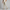Oliver | Wide-Leg Linen-Cotton Blend Pleated Trousers