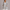 Women's Hooded Casual Cardigan with Front Pockets