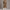 Women's Long Double-Breasted Teddy Faux Fur Winter Coat