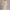 Women's Long Double-Breasted Teddy Faux Fur Winter Coat